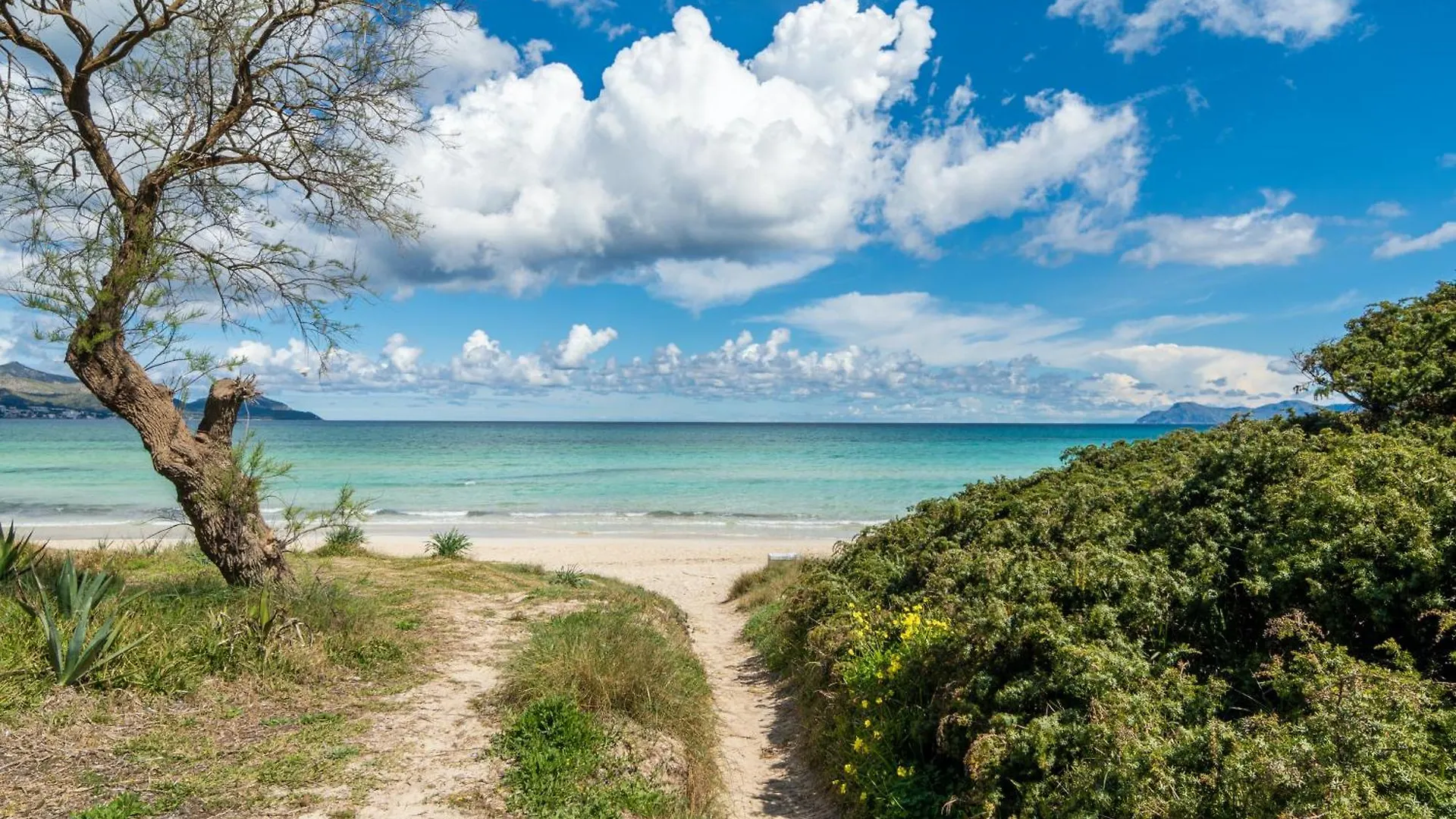 Villa Can Canta Natura Park House At Platja De Muro Beach  穆罗海滩