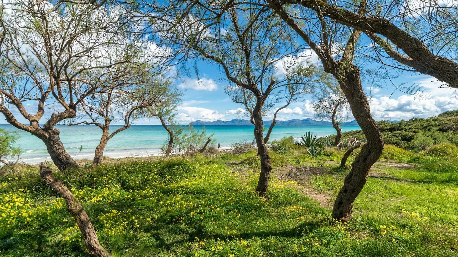 Villa Can Canta Natura Park House At Platja De Muro Beach 0*, Playa de Muro (Mallorca) Spain